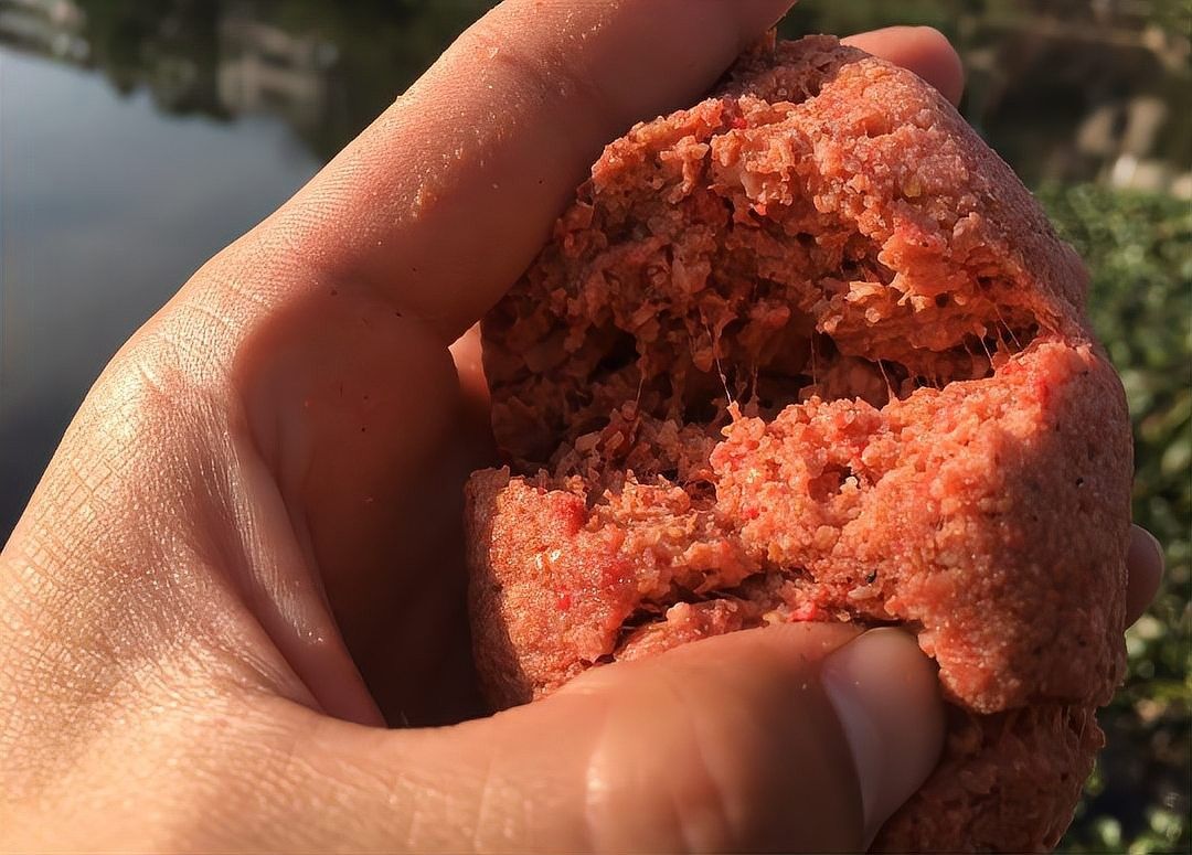 龍餌有沒有使用期限（徐大王愛釣魚釣魚用具不同釣魚用具的保養技巧）