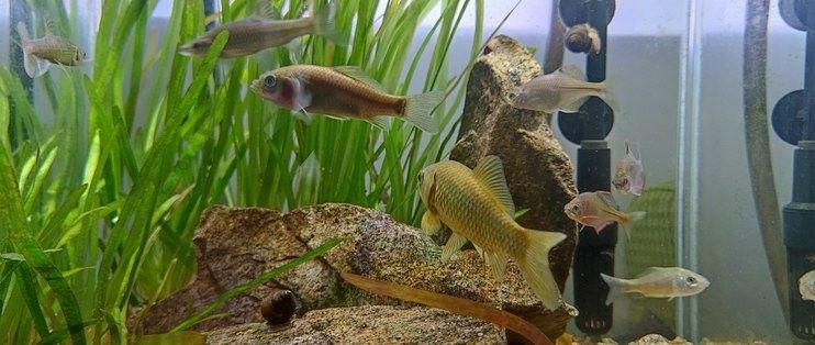 龍餌有沒有使用期限（徐大王愛釣魚釣魚用具不同釣魚用具的保養技巧）