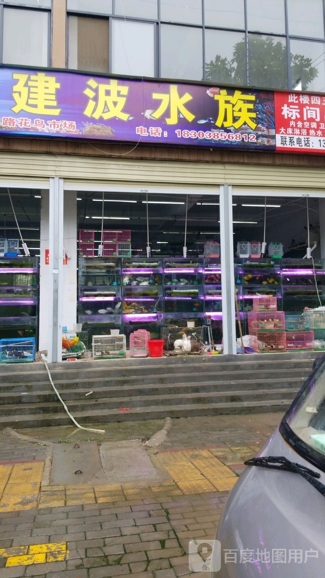 蘭考哪個水族館龍魚好？祥龍魚場龍魚（廣州祥龍魚場，你是否會鑒別龍魚品種）