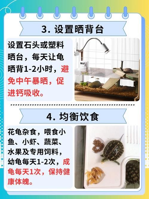 推薦一些與黃頭側(cè)頸龜混養(yǎng)的植物