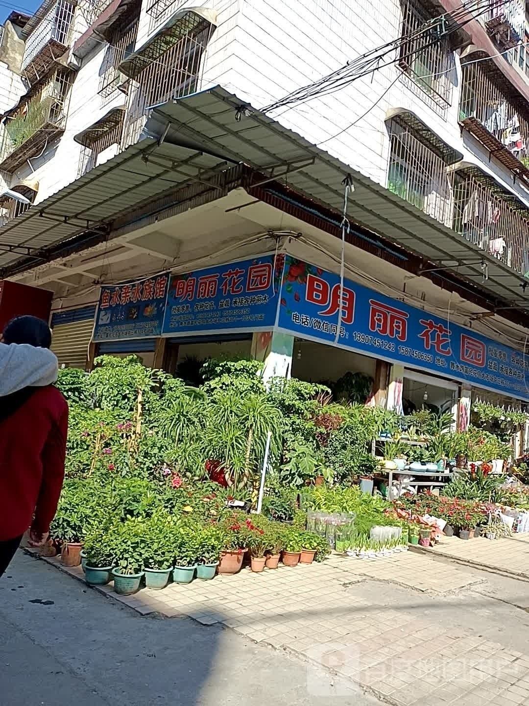 保靖哪個水族館龍魚好？祥龍魚場龍魚（保靖縣祥龍魚場）