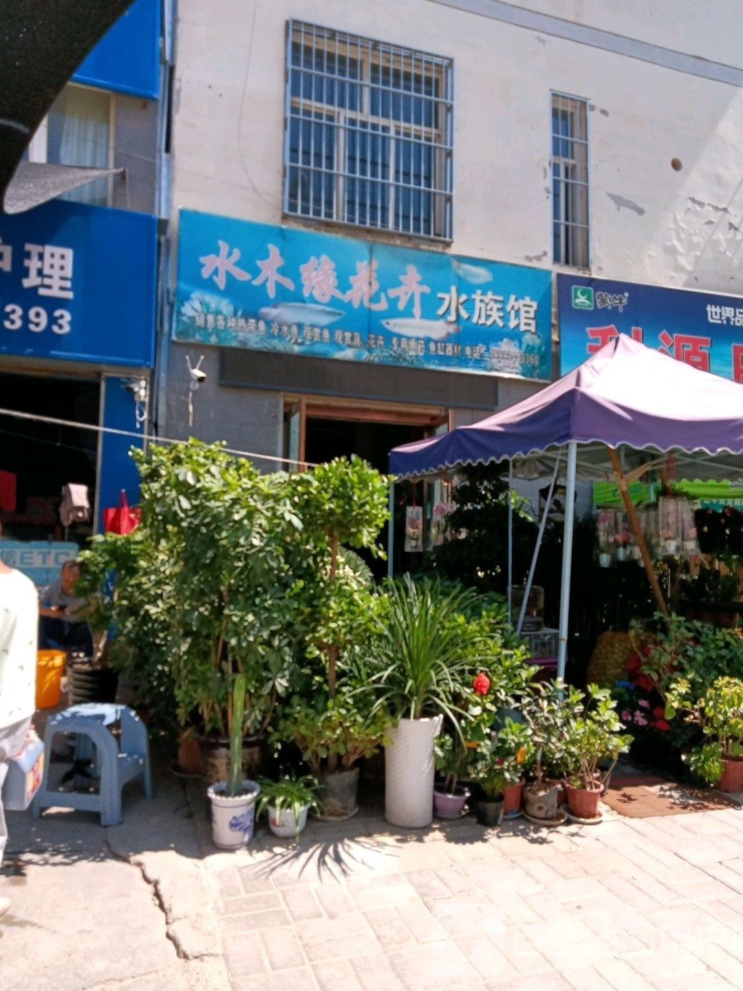 慶陽哪個水族館龍魚好？祥龍魚場龍魚