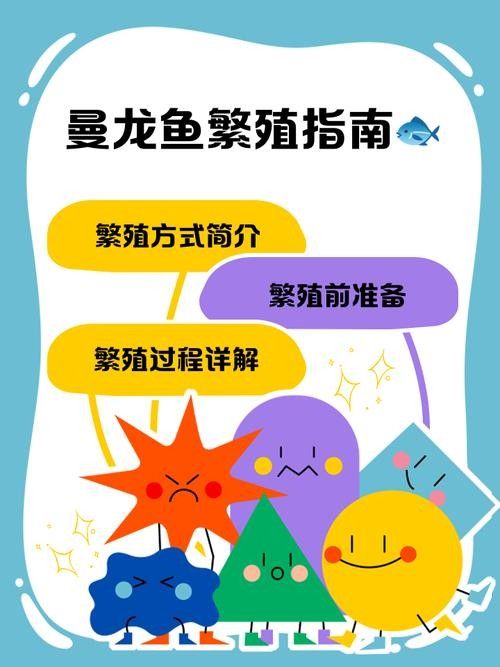 曼龍魚成魚繁殖期應(yīng)該喂什么（曼龍魚的飼養(yǎng)與繁殖技巧全解析） 曼龍魚成魚繁殖期應(yīng)該喂什么（曼龍魚的飼養(yǎng)與繁殖技巧全解析） 龍魚百科 第11張