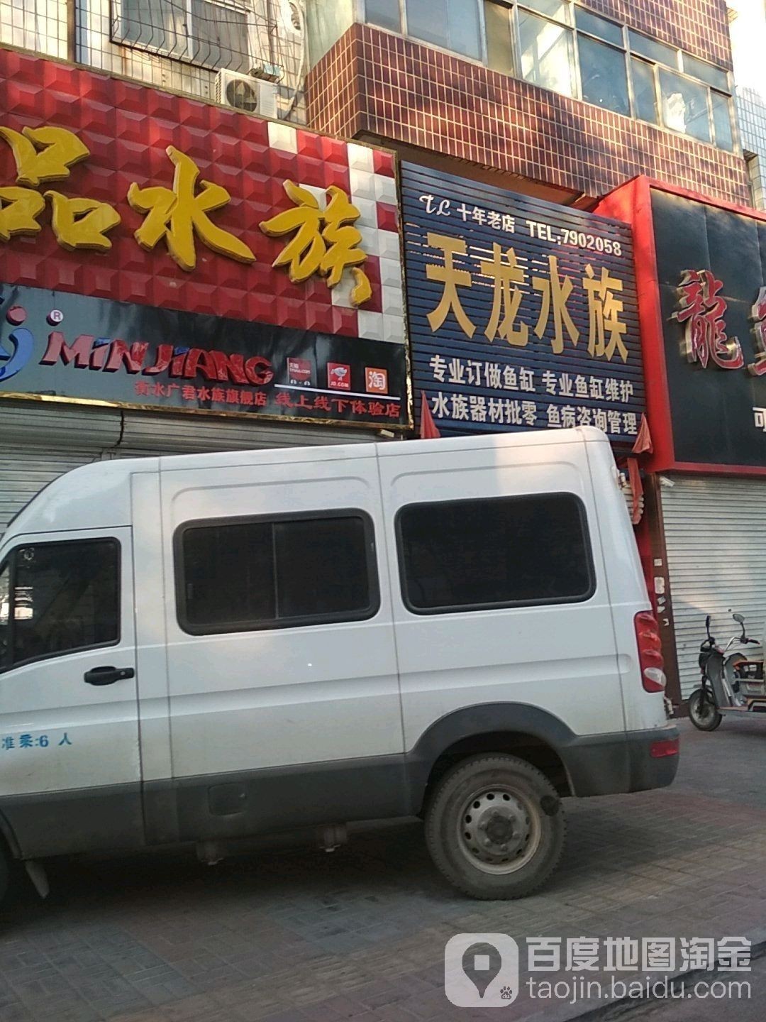 衡水龍魚水族館的地址在哪里？（河北衡水龍魚水族館有哪些特色龍魚與“天龍水族”地址）
