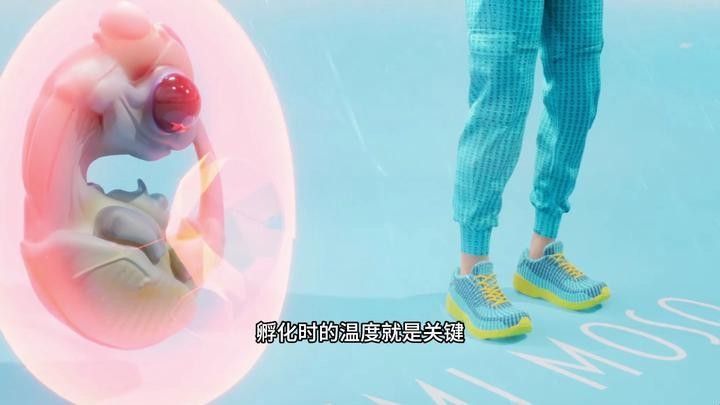 水溫波動對繁殖有何影響？（水溫波動對繁殖的影響） 水溫波動對繁殖有何影響？（水溫波動對繁殖的影響） 龍魚百科 第2張
