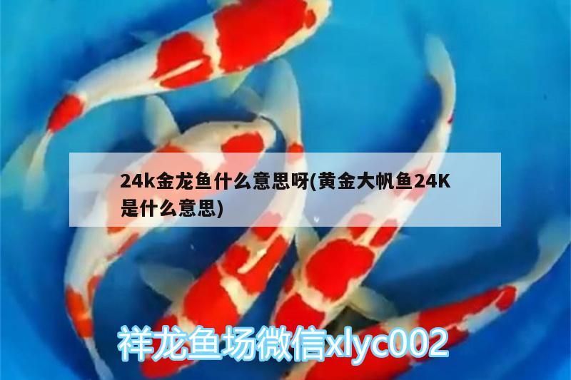 松原水族館轉(zhuǎn)發(fā)大神魚池（松原水族館成功引入資深的魚類養(yǎng)殖專家）