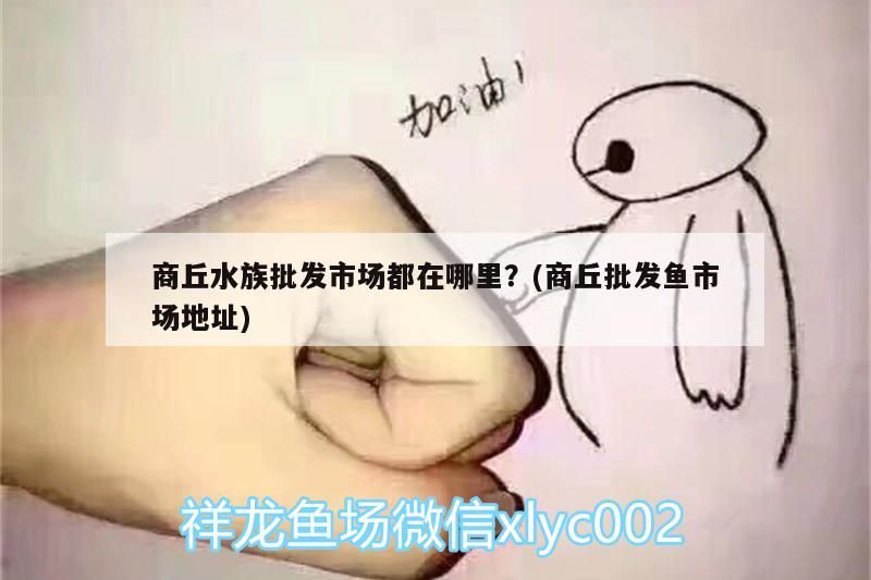 商丘水族批發市場都在哪里？(商丘批發魚市場地址)（商丘水族批發市場和商丘水族批發市場在哪里批發市場）