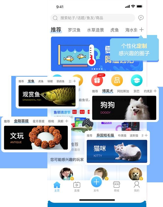 濟(jì)南龍魚(yú)交流群的具體聯(lián)系方式（濟(jì)南龍魚(yú)交流群怎么找）