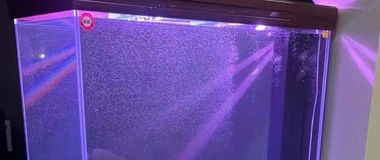 用戶對森森龍魚缸的評價如何？