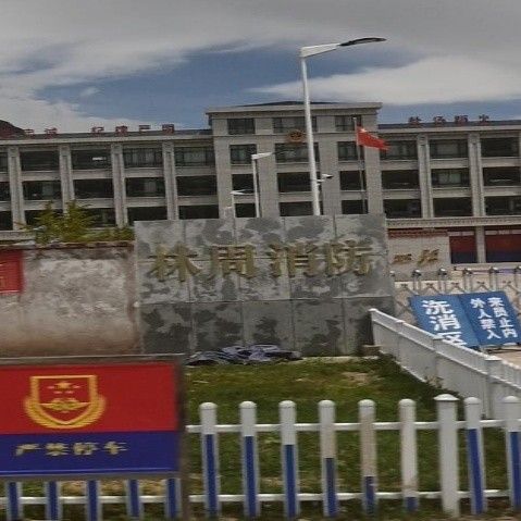<strong><mark>林周</mark></strong>哪個(gè)水族館龍魚(yú)好？祥龍魚(yú)場(chǎng)龍魚(yú)