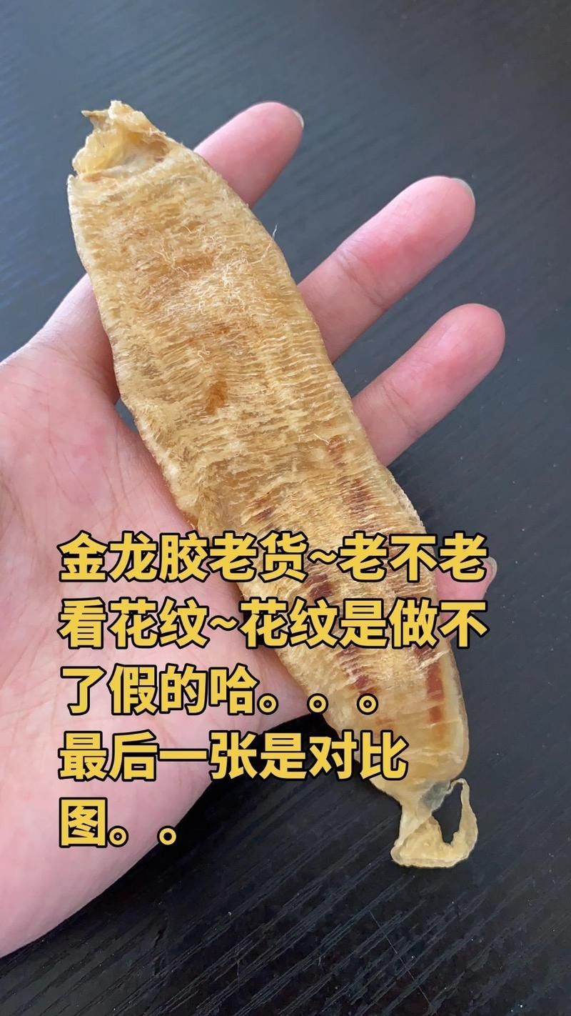 如何鑒別真假野生金龍魚膠 龍魚百科 第6張 如何鑒別真假野生金龍魚膠 如何鑒別真假野生金龍魚膠 龍魚百科 第6張