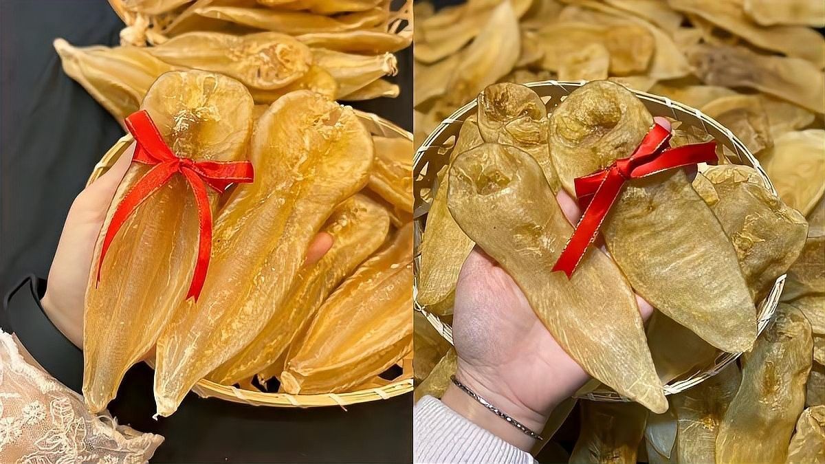 如何鑒別真假野生金龍魚膠 如何鑒別真假野生金龍魚膠 龍魚百科 第11張