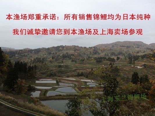 安慶水族批發市場：安慶水產批發大市場在哪里