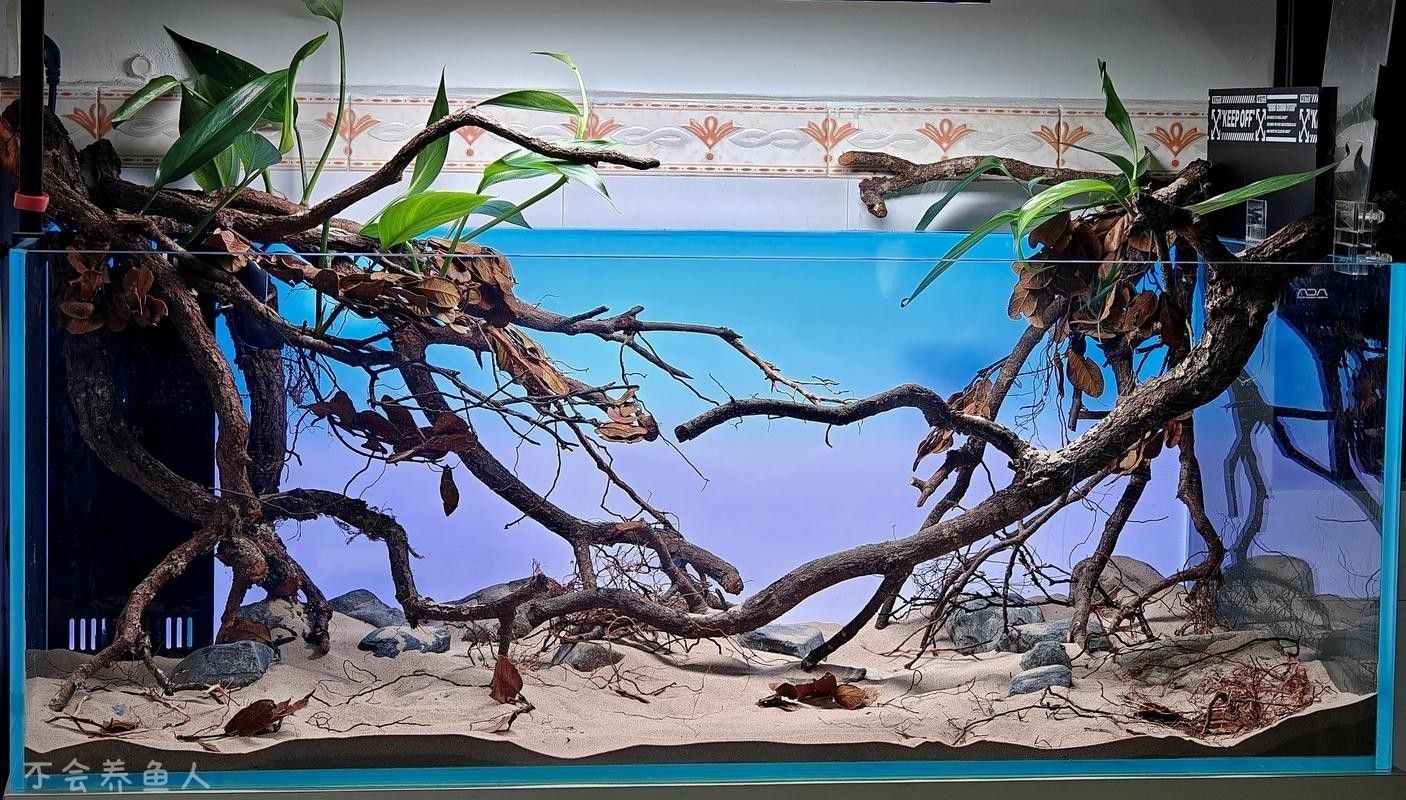 如何降低鼠魚在混養中的損耗？