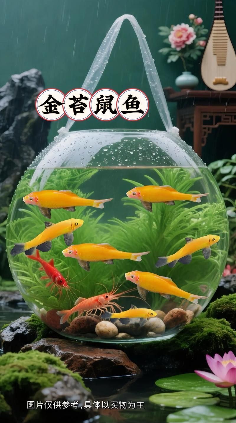如何降低鼠魚在混養中的損耗？