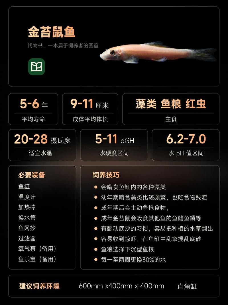 如何降低鼠魚在混養中的損耗？