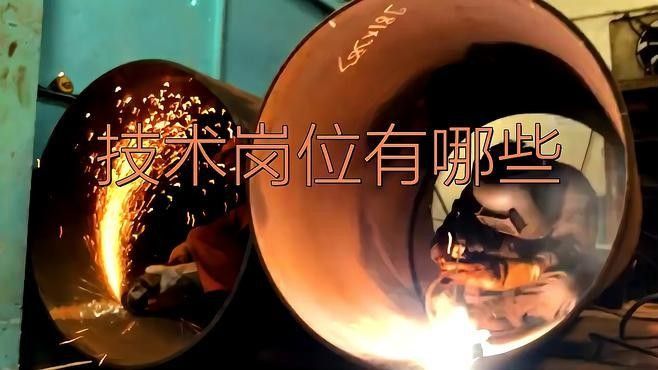 產業園的技術崗位有哪些？（產業園的技術崗位） 產業園的技術崗位有哪些？（產業園的技術崗位） 龍魚百科 第1張