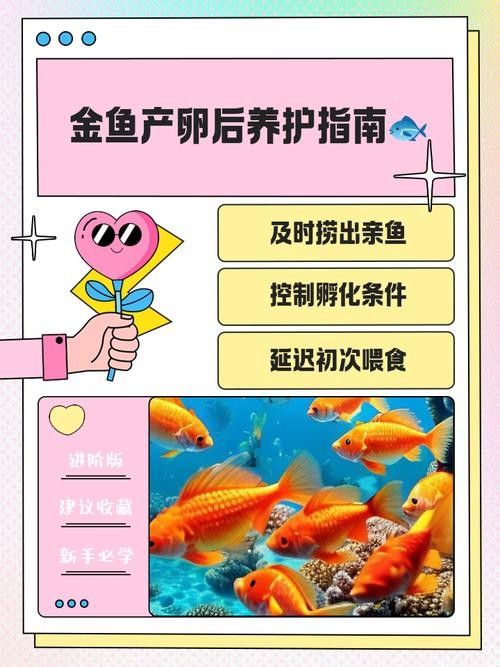 金龍魚卵如何保存（金龍魚卵保存方法） 金龍魚卵如何保存（金龍魚卵保存方法） 龍魚百科 第7張
