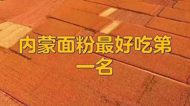 金龍魚河套平原雪花粉有哪些品種？
