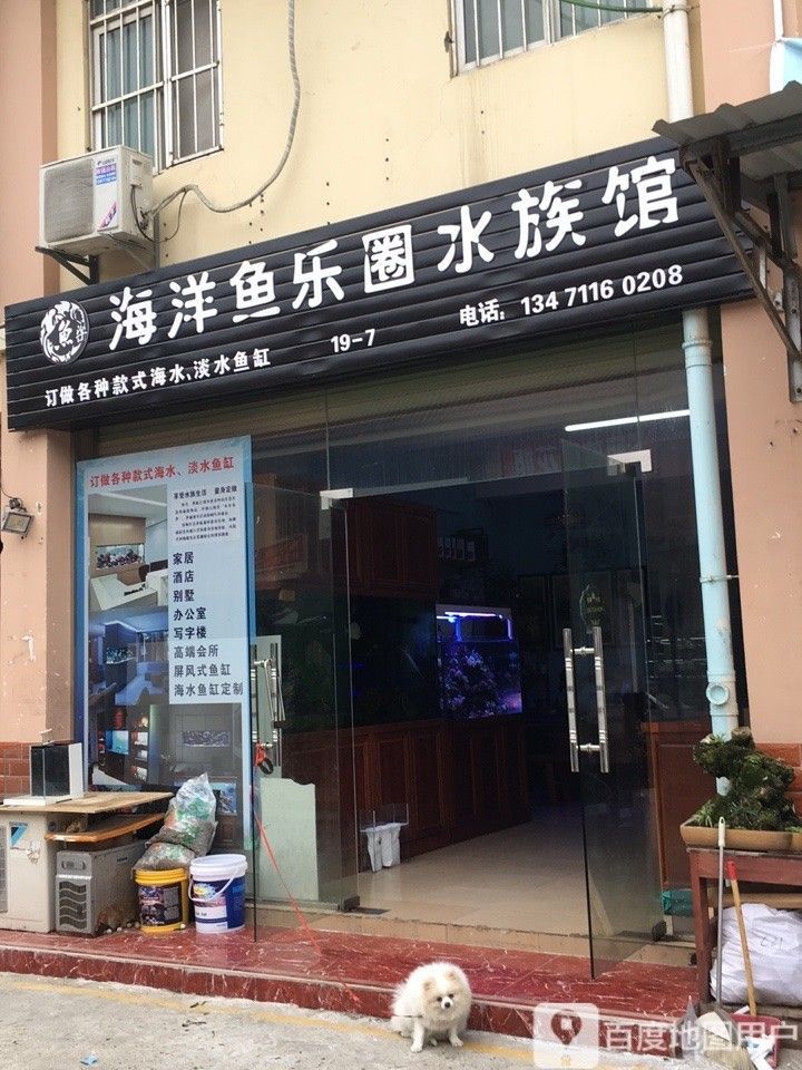 興寧哪個水族館龍魚好？祥龍魚場龍魚（興寧哪個水族館龍魚好） 興寧哪個水族館龍魚好？祥龍魚場龍魚（興寧哪個水族館龍魚好） 龍魚百科 第1張