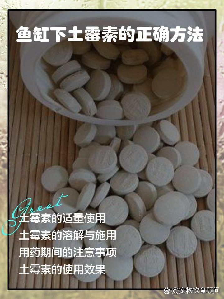 如何正確使用龍魚藥物？ 如何正確使用龍魚藥物？ 龍魚百科 第5張
