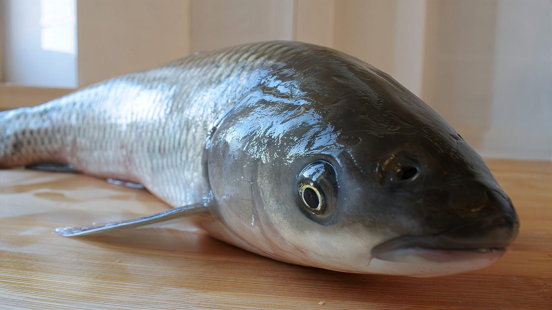 有哪些食材可以吸附魚腥味 有哪些食材可以吸附魚腥味 龍魚百科 第9張