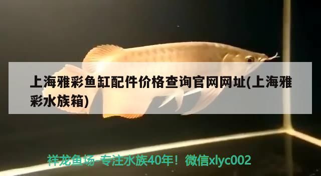 上海雅彩魚缸配件價格查詢官網(wǎng)網(wǎng)址(上海雅彩水族箱)