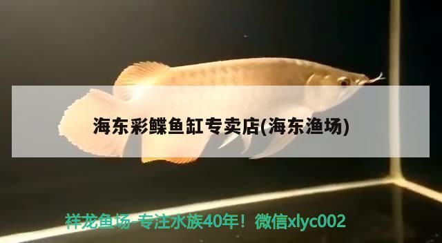 海東彩鰈魚缸專賣店(海東漁場)