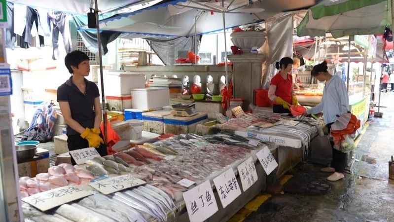 廈門龍魚的品種有哪些