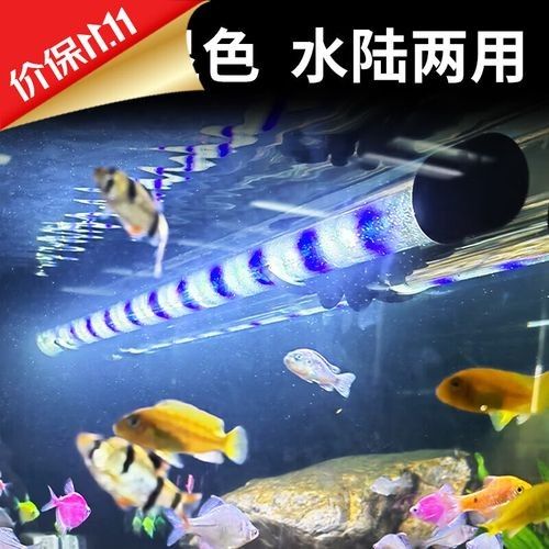 如何根據魚缸尺寸選擇LED燈？（如何根據魚缸尺寸選擇led燈）