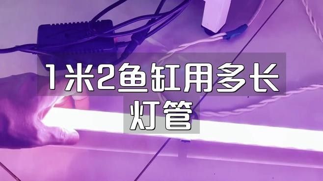 如何根據魚缸尺寸選擇LED燈？（如何根據魚缸尺寸選擇led燈）