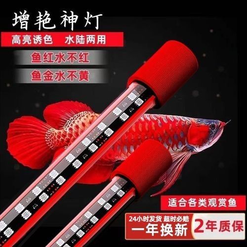 紅龍魚燈光推薦品牌（紅龍魚燈光品牌排行榜京東led魚缸燈品牌排行榜） 紅龍魚燈光推薦品牌（紅龍魚燈光品牌排行榜京東led魚缸燈品牌排行榜） 龍魚百科 第2張