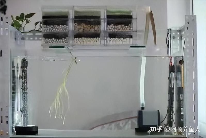 滴流過濾適合多大的魚缸？