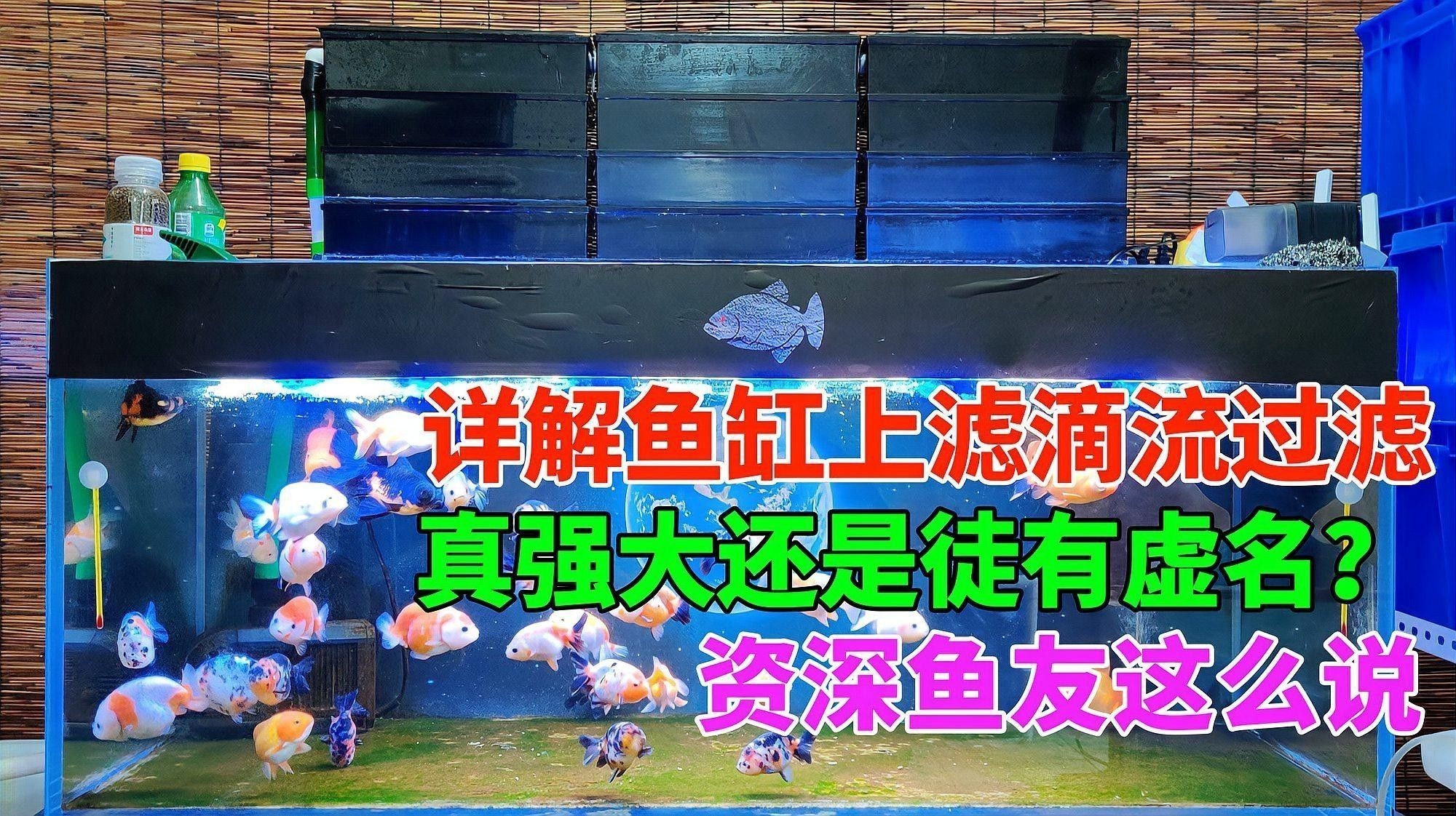 滴流過濾適合多大的魚缸？