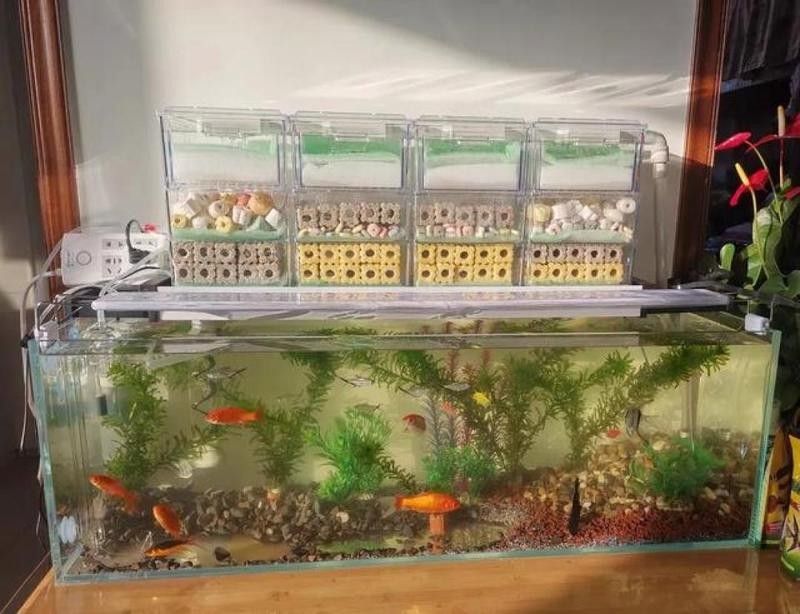 滴流過濾適合多大的魚缸？