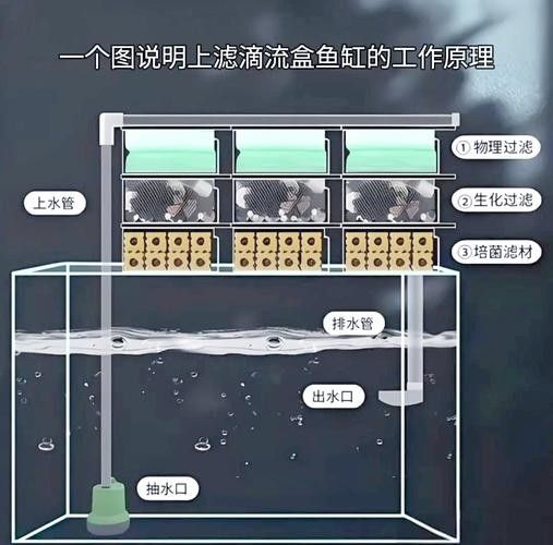 滴流過濾適合多大的魚缸？