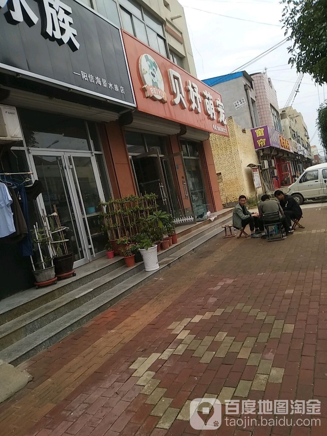 天津龍魚有哪些品種？（天津龍魚品種對比表格，天津龍魚的價格范圍和價格區(qū)間）