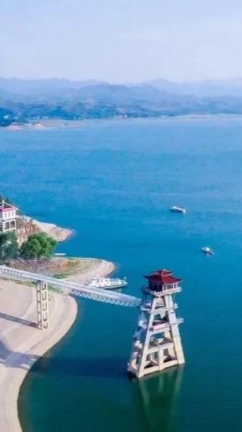 偃師哪個水族館龍魚好？祥龍魚場龍魚（偃師哪個水族館祥龍魚場）