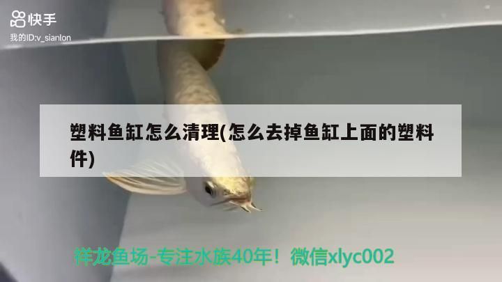 塑料魚缸怎么清理(怎么去掉魚缸上面的塑料件)（塑料魚缸上面的塑料魚缸怎么清理） 塑料魚缸怎么清理(怎么去掉魚缸上面的塑料件)（塑料魚缸上面的塑料魚缸怎么清理） 觀賞魚百科