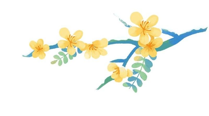 長(zhǎng)武哪個(gè)水族館龍魚好？祥龍魚場(chǎng)龍魚（武縣祥龍魚場(chǎng)龍魚養(yǎng)殖情況簡(jiǎn)要分析） 長(zhǎng)武哪個(gè)水族館龍魚好？祥龍魚場(chǎng)龍魚（武縣祥龍魚場(chǎng)龍魚養(yǎng)殖情況簡(jiǎn)要分析） 龍魚百科 第7張