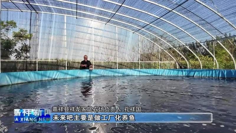 長(zhǎng)武哪個(gè)水族館龍魚好？祥龍魚場(chǎng)龍魚（武縣祥龍魚場(chǎng)龍魚養(yǎng)殖情況簡(jiǎn)要分析） 長(zhǎng)武哪個(gè)水族館龍魚好？祥龍魚場(chǎng)龍魚（武縣祥龍魚場(chǎng)龍魚養(yǎng)殖情況簡(jiǎn)要分析） 龍魚百科 第19張