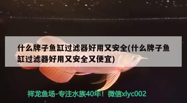 什么牌子魚缸過濾器好用又安全(什么牌子魚缸過濾器好用又安全又便宜)