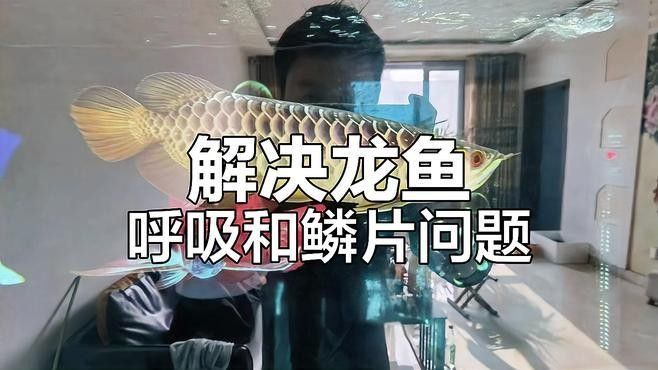 如何判斷龍魚是否呼吸困難（如何判斷龍魚是否呼吸困難？）