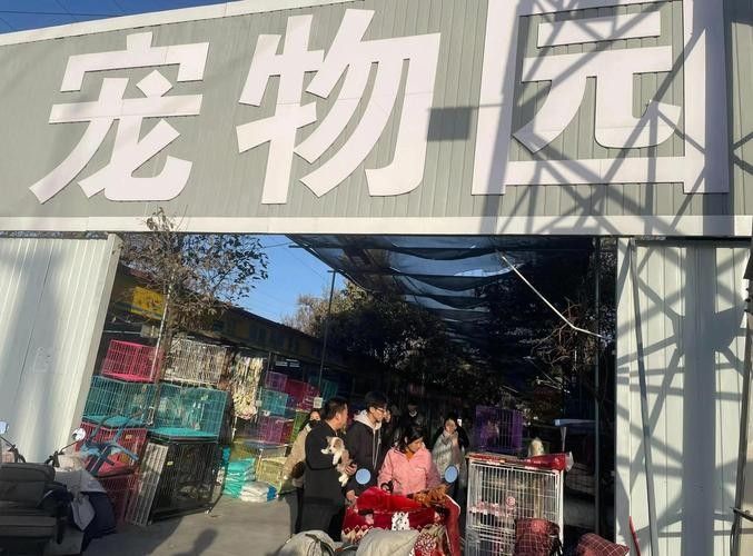 給我推薦一些杭州的寵物市場（杭州寵物市場）