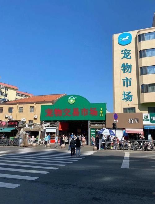 給我推薦一些<strong><mark>杭州</mark></strong>的寵物市場(chǎng)（<strong><mark>杭州</mark></strong>寵物市場(chǎng)）