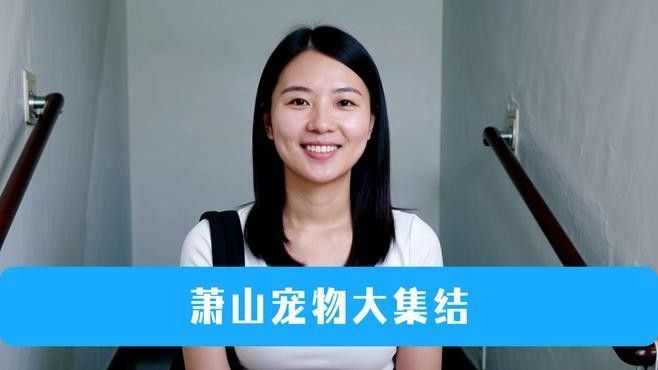 給我推薦一些杭州的寵物市場（杭州寵物市場）