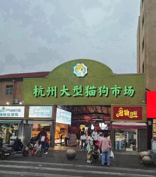 給我推薦一些杭州的寵物市場（杭州寵物市場）