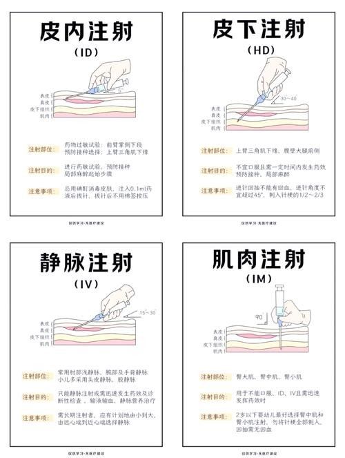 如何預(yù)防藍龍魚生病？（如何預(yù)防藍龍魚生病）