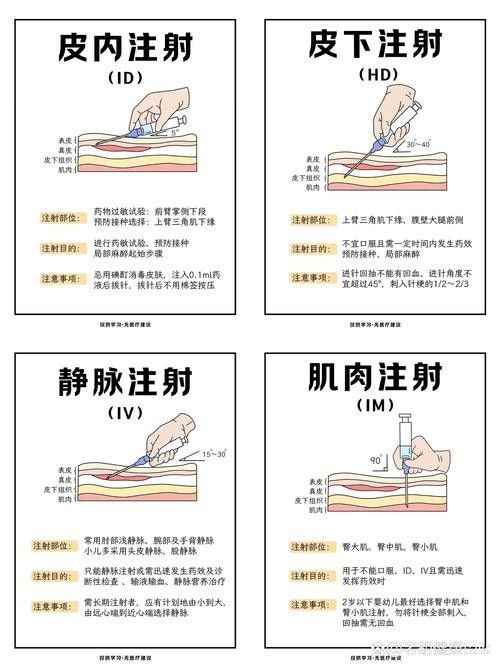 如何預(yù)防藍龍魚生病？（如何預(yù)防藍龍魚生病）
