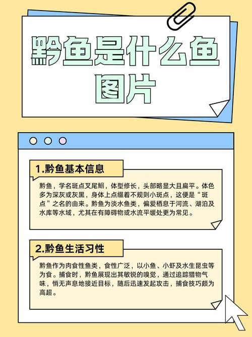 黔魚的價格是多少（淡水魚價格上漲勢頭不減你家餐桌上還有魚嗎）